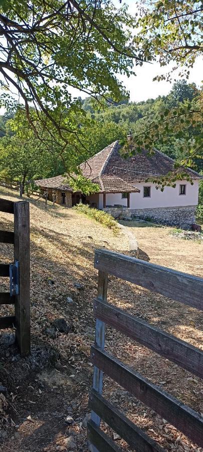 Апартаменты Poljoprivredno Turisticko Domacinstvo Deguric Валево Экстерьер фото