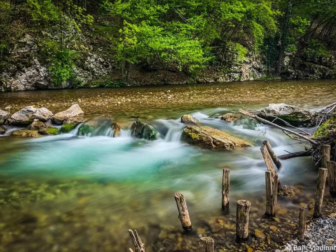 Апартаменты Poljoprivredno Turisticko Domacinstvo Deguric Валево Экстерьер фото